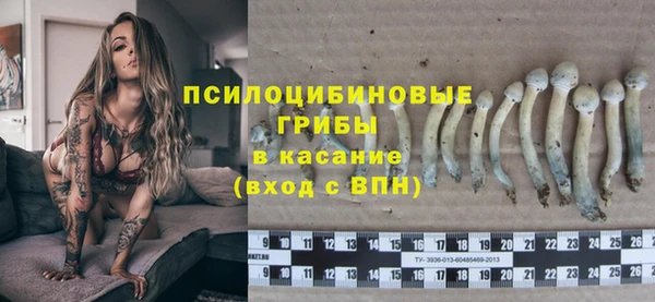 скорость Белокуриха
